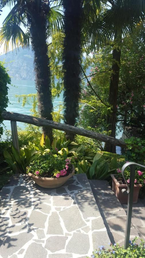 L'Oleandro Sul Lago D'Iseo B&B スルツァーノ エクステリア 写真