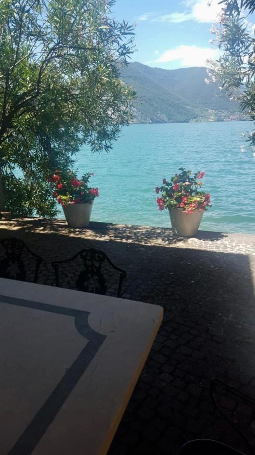 L'Oleandro Sul Lago D'Iseo B&B スルツァーノ エクステリア 写真