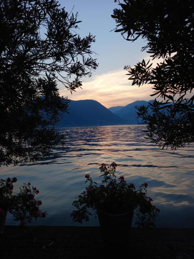 L'Oleandro Sul Lago D'Iseo B&B スルツァーノ エクステリア 写真