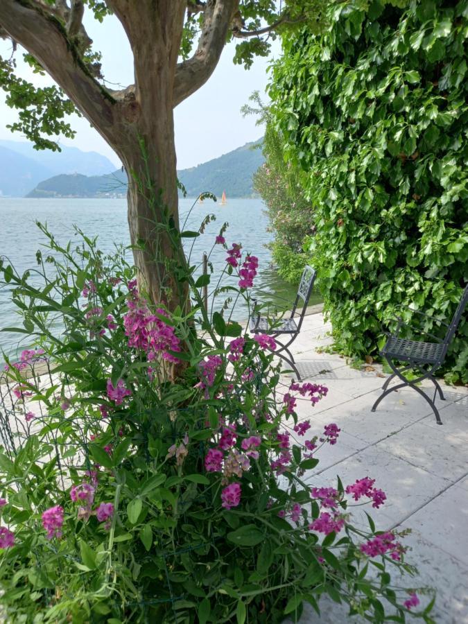 L'Oleandro Sul Lago D'Iseo B&B スルツァーノ エクステリア 写真