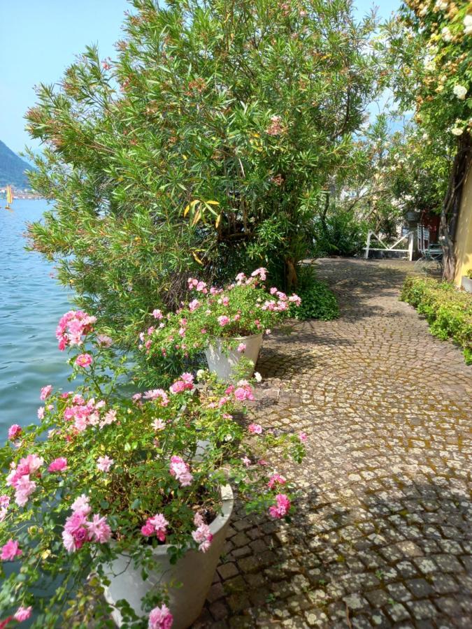 L'Oleandro Sul Lago D'Iseo B&B スルツァーノ エクステリア 写真