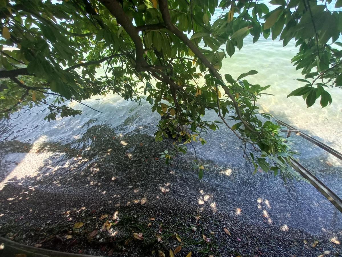 L'Oleandro Sul Lago D'Iseo B&B スルツァーノ エクステリア 写真