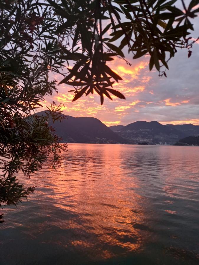L'Oleandro Sul Lago D'Iseo B&B スルツァーノ エクステリア 写真