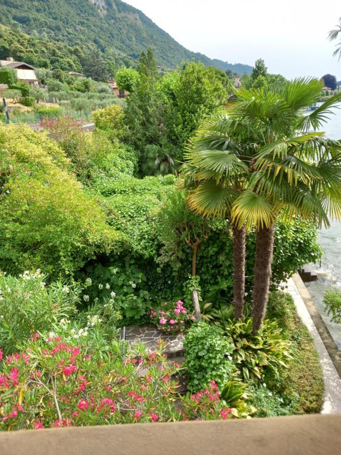 L'Oleandro Sul Lago D'Iseo B&B スルツァーノ エクステリア 写真