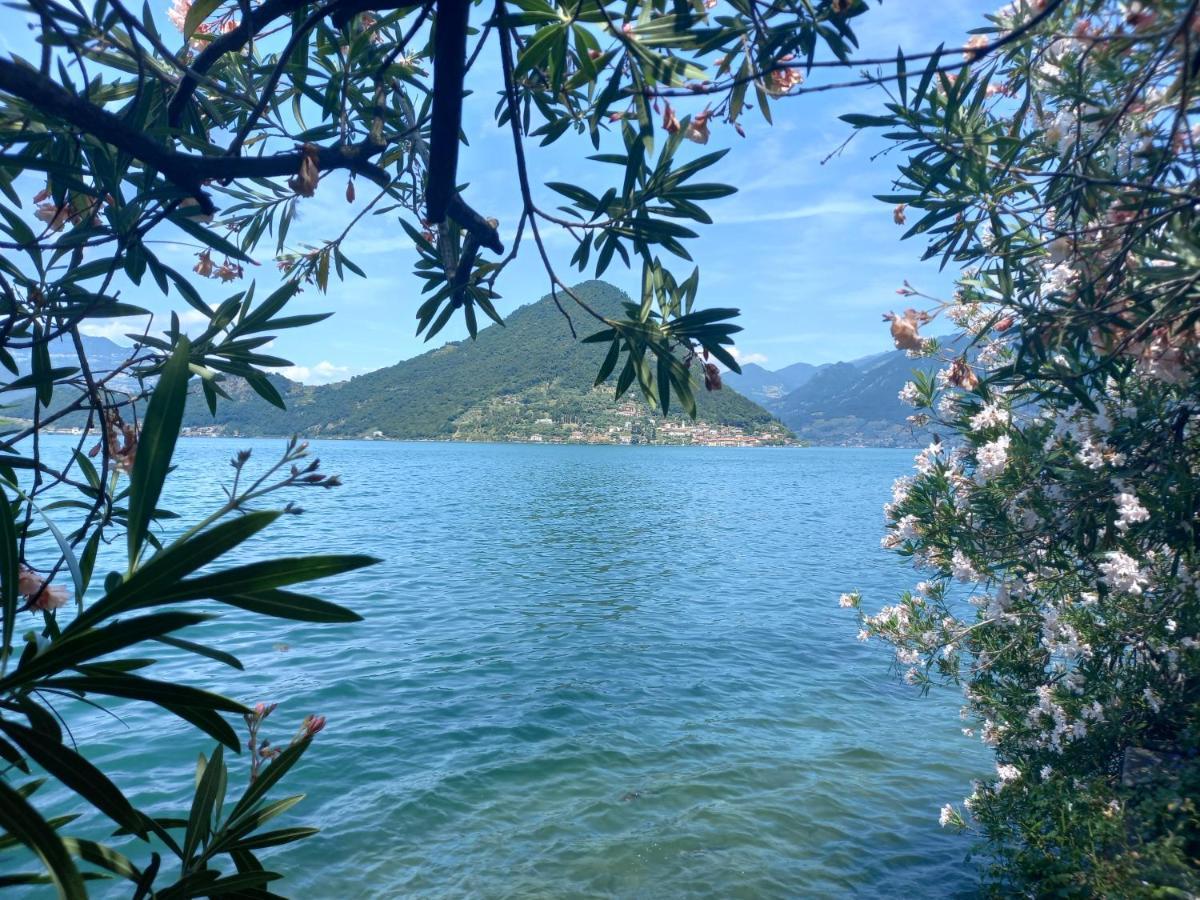 L'Oleandro Sul Lago D'Iseo B&B スルツァーノ エクステリア 写真