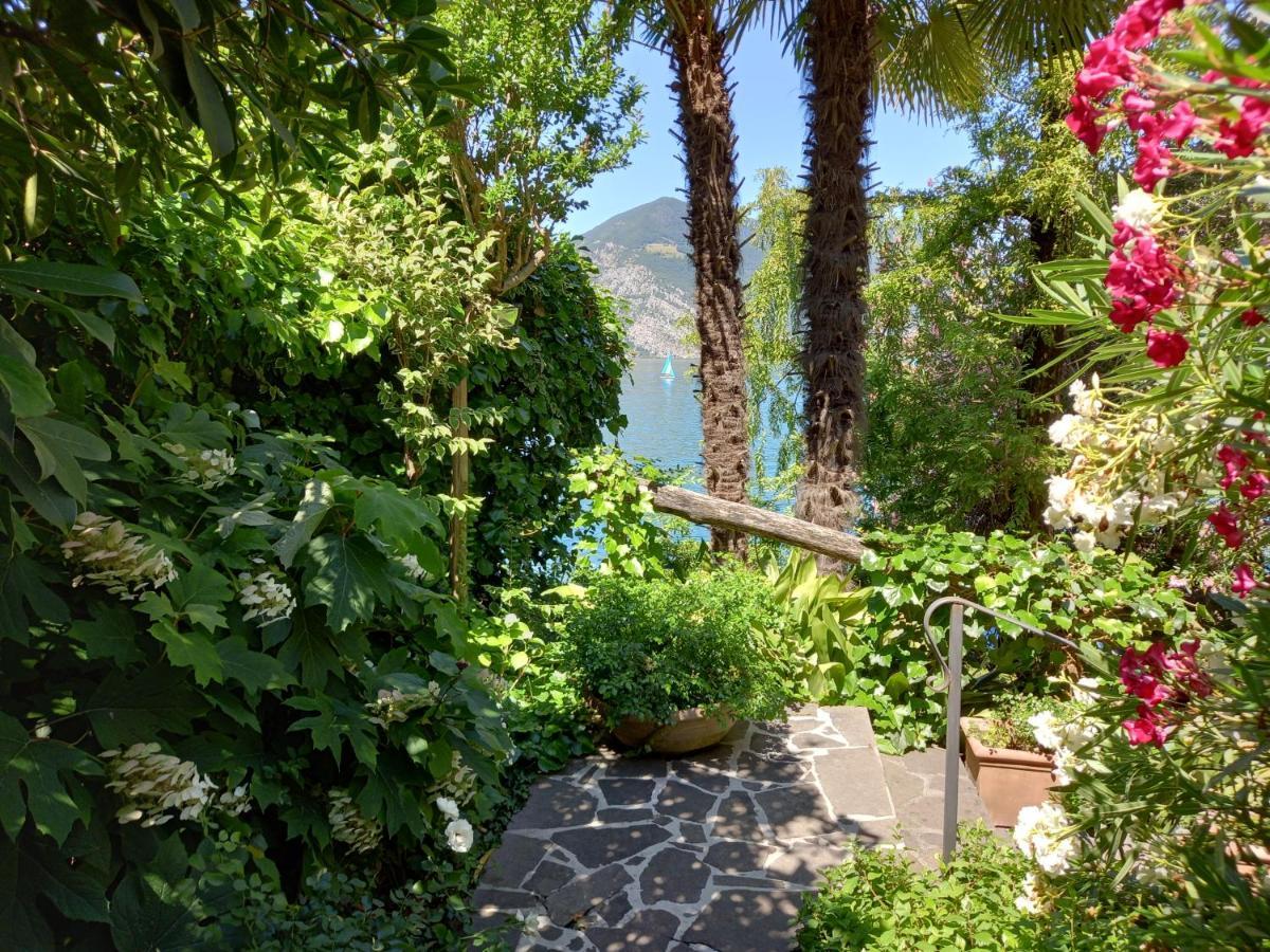 L'Oleandro Sul Lago D'Iseo B&B スルツァーノ エクステリア 写真