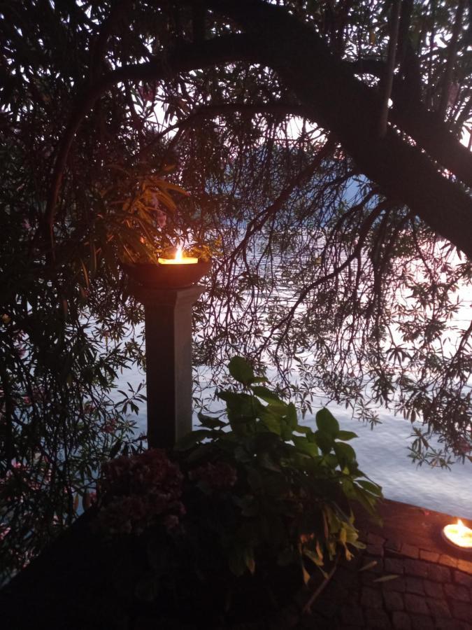 L'Oleandro Sul Lago D'Iseo B&B スルツァーノ エクステリア 写真