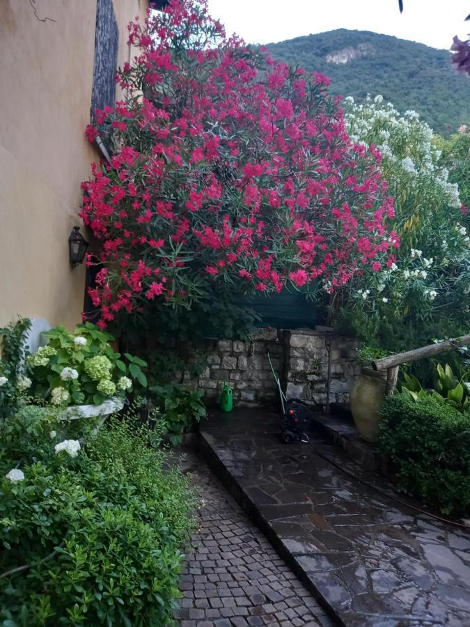 L'Oleandro Sul Lago D'Iseo B&B スルツァーノ エクステリア 写真